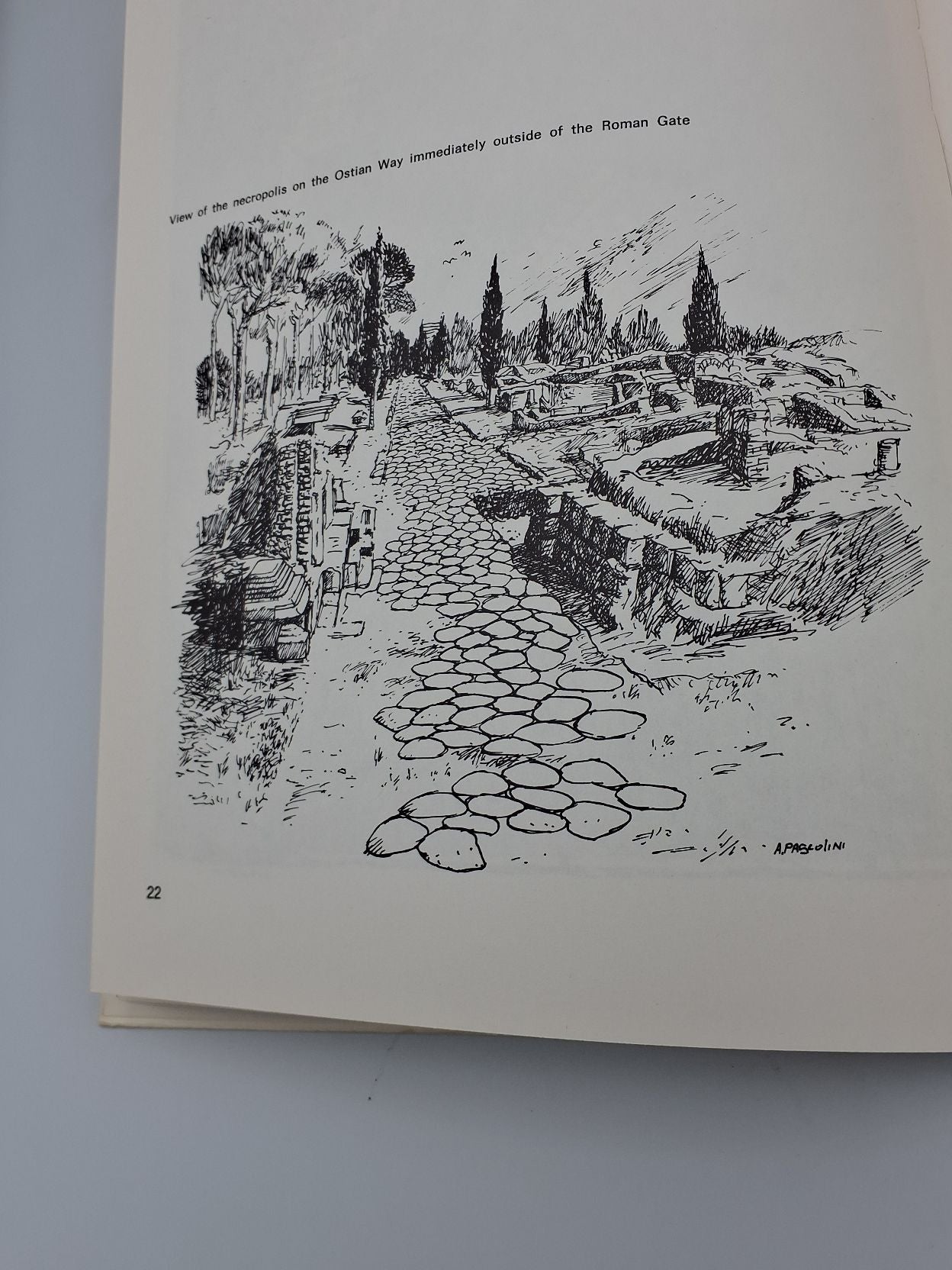 Bog: Return to an ancient city OSTIA